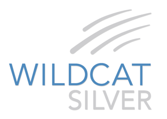 StockGuru Snapshot: Wildcat Silver (Toronto: WS) and (OTC: WLDVF)