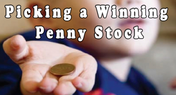How to Make a Winning Penny Stock Pick for A Quick Gain